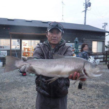 浜名湖フィッシングリゾート 釣果