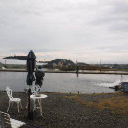 浜名湖フィッシングリゾート 釣果