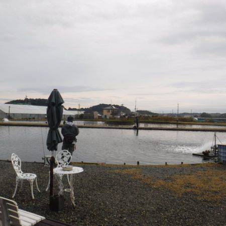 浜名湖フィッシングリゾート 釣果