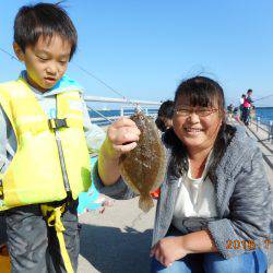 鹿島港魚釣園 釣果