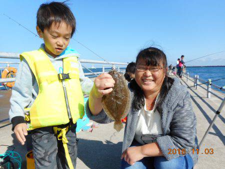 鹿島港魚釣園 釣果