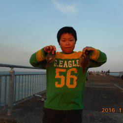 鹿島港魚釣園 釣果