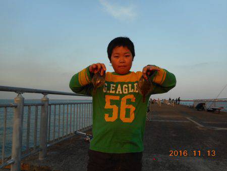 鹿島港魚釣園 釣果