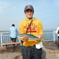 鹿島港魚釣園 釣果