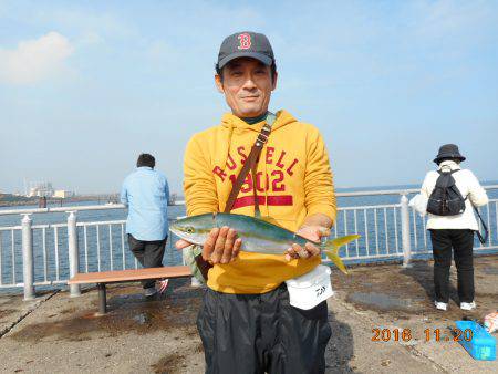 鹿島港魚釣園 釣果