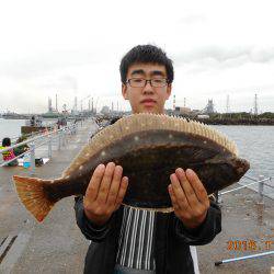 鹿島港魚釣園 釣果