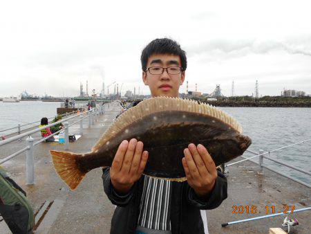 鹿島港魚釣園 釣果