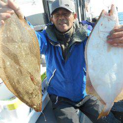 大進丸（愛知） 釣果