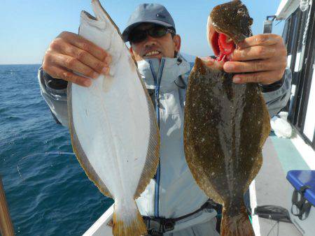 大進丸（愛知） 釣果