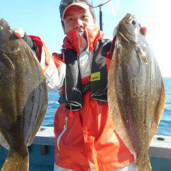 大進丸（愛知） 釣果