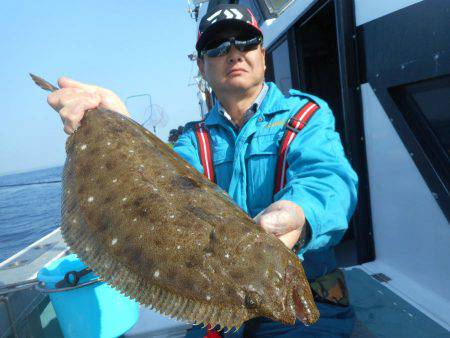 大進丸（愛知） 釣果