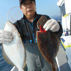 大進丸（愛知） 釣果