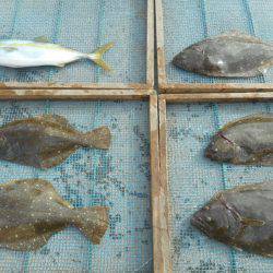 大進丸（愛知） 釣果