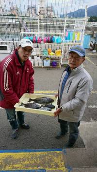 和歌山マリーナシティ釣り公園 釣果