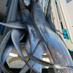 恵比寿丸（兵庫） 釣果