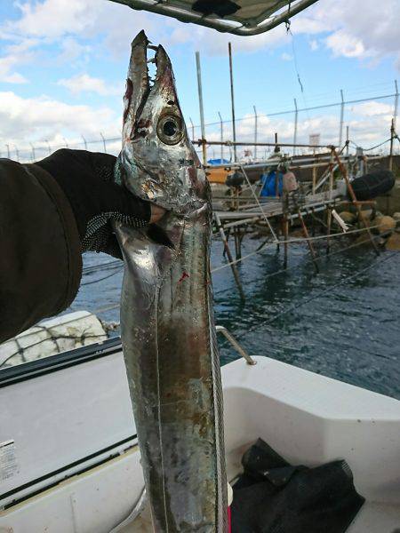 恵比寿丸（兵庫） 釣果