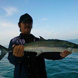 第二常豊丸 釣果