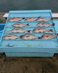 和歌山マリーナシティ釣り堀 釣果