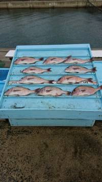 和歌山マリーナシティ釣り堀 釣果