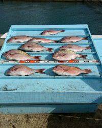 和歌山マリーナシティ釣り堀 釣果