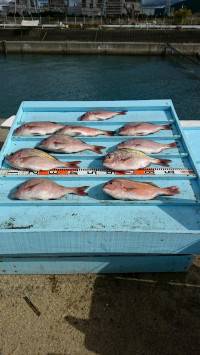 和歌山マリーナシティ釣り堀 釣果