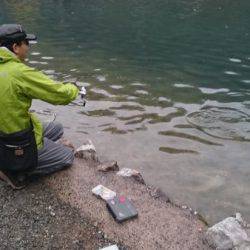 フィッシングエリア帝釈 釣果