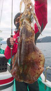 愛海丸 釣果