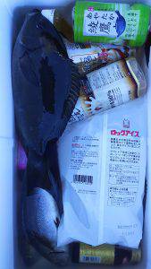 伊豆下田フィッシング 釣果