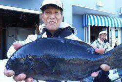 伊豆下田フィッシング 釣果