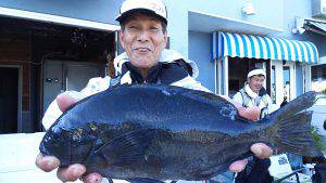 伊豆下田フィッシング 釣果