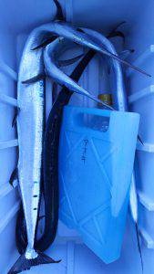 伊豆下田フィッシング 釣果