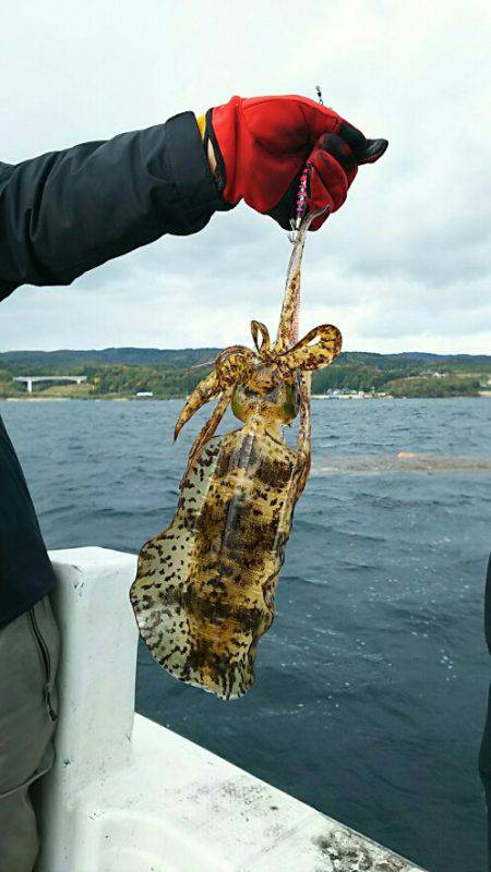 金剛丸 釣果