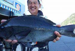 伊豆下田フィッシング 釣果