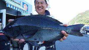 伊豆下田フィッシング 釣果