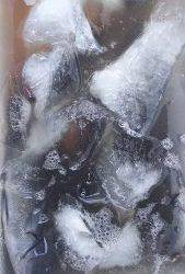 伊豆下田フィッシング 釣果