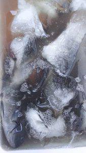 伊豆下田フィッシング 釣果