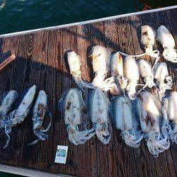 フィッシングボートACE(エース) 釣果