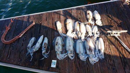 フィッシングボートACE(エース) 釣果