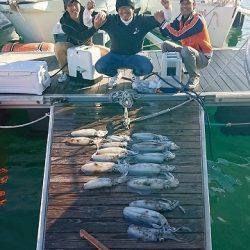 フィッシングボートACE(エース) 釣果