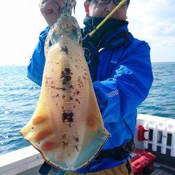 フィッシングボートACE(エース) 釣果