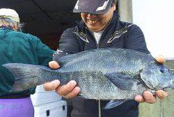 伊豆下田フィッシング 釣果