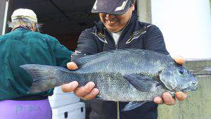 伊豆下田フィッシング 釣果