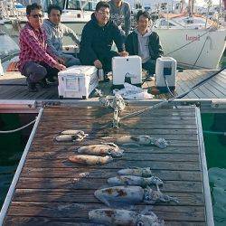 フィッシングボートACE(エース) 釣果