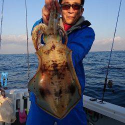 フィッシングボートACE(エース) 釣果