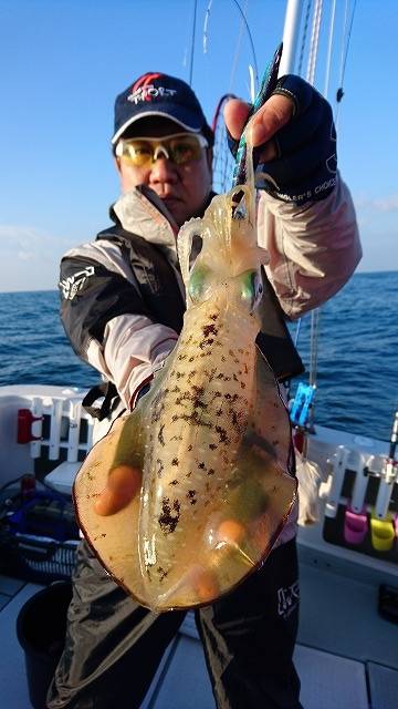 フィッシングボートACE（エース） 釣果