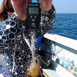 フィッシングボートACE(エース) 釣果