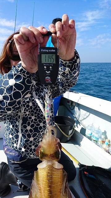 フィッシングボートACE(エース) 釣果