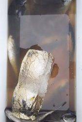 伊豆下田フィッシング 釣果