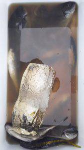 伊豆下田フィッシング 釣果