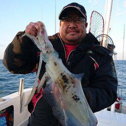 フィッシングボートACE(エース) 釣果